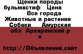 Щенки породы бульмастиф › Цена ­ 25 000 - Все города Животные и растения » Собаки   . Амурская обл.,Архаринский р-н